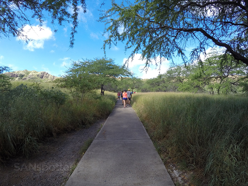 Walking up the diamond head trail
