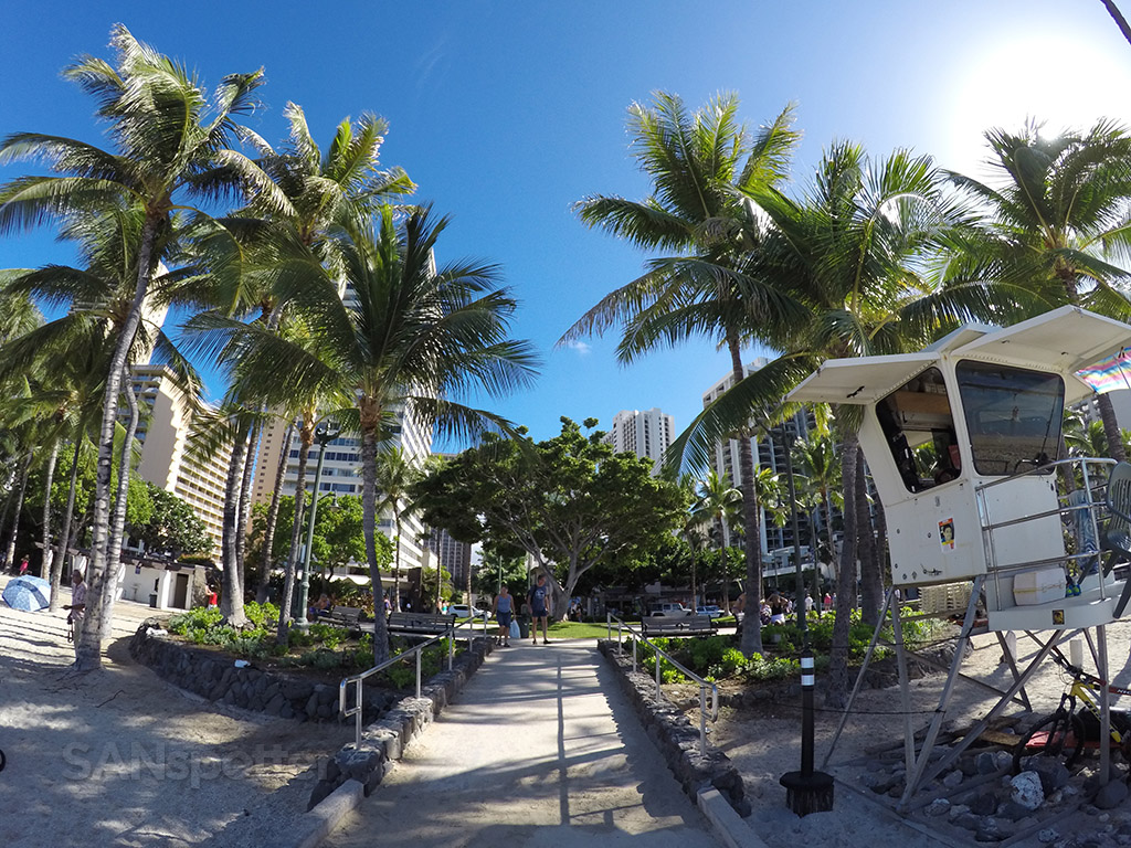 waikiki beach lifeguard tower
